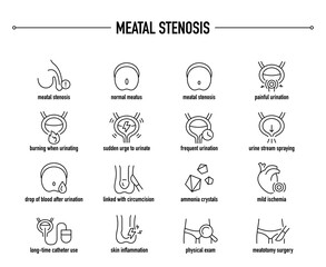 Meatal Stenosis symptoms, diagnostic and treatment vector icon set. Line editable medical icons.	