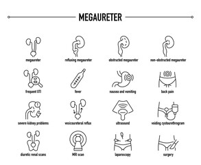 Megaureter types, symptoms, diagnostic and treatment vector icon set. Line editable medical icons.