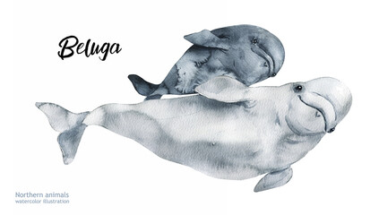 watercolor beluga with baby cute illustration ocean animals. Watercolor cute whale mom with baby. Hand painting postcard with whale isolated white background. Ocean animals. Happy Mother's day.