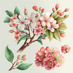 Collection of сherry blossom flowers and branches in vector watercolor style. Women's day on March 8