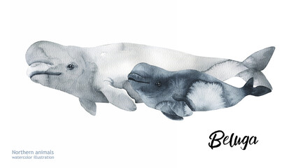 watercolor beluga with baby cute illustration ocean animals. Watercolor cute whale mom with baby. Hand painting postcard with whale isolated white background. Ocean animals. Happy Mother's day.