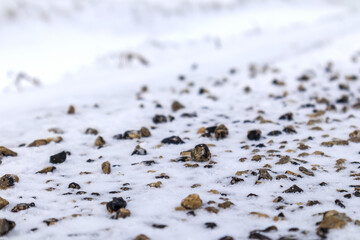 Many small stones in brown and gray color in white snow