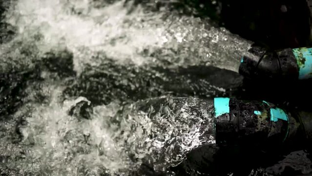 very beautiful and very big massive koi carp fishes in the garden pond for the fengshui and relaxing
