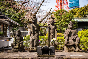 東京港区　増上寺　四菩薩像