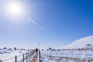 제주도 한라산 영실코스 겨울산 등산 여정, 뒷모습, 사람 - jeju, korea