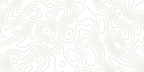 Abstract Topographic map background with wave line. gradient multicolor wave curve lines banner background design. Vector illustration. Line topography map contour background.