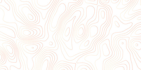 Abstract Topographic map background with wave line. gradient multicolor wave curve lines banner background design. Vector illustration. Line topography map contour background.