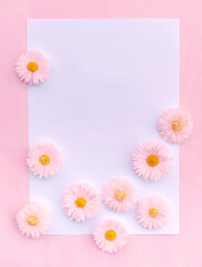 Minimalistic card with daisies on a pink background