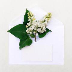 Minimalistic postcard with a sprig of white lilac in an envelope