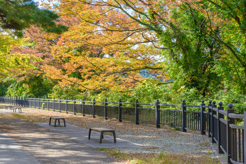 Naklejka premium 秋の仙台 西公園 