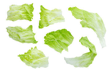 Fototapeta Set of various fresh green leaves of lettuce vegetable salad isolated on white background. With clipping path. Full depth of field. Focus stacking. PNG obraz