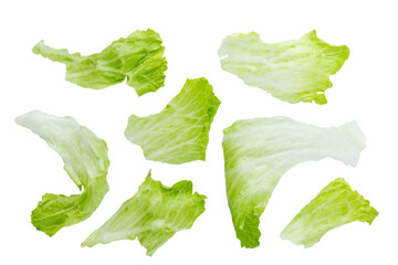 Set of various fresh green leaves of lettuce vegetable salad isolated on white background. With clipping path. Full depth of field. Focus stacking. PNG