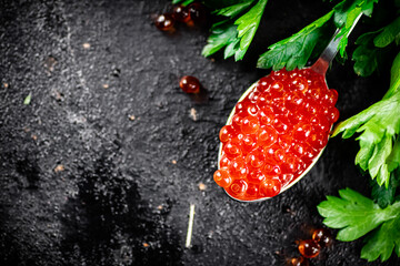 A spoonful of red caviar with parsley.