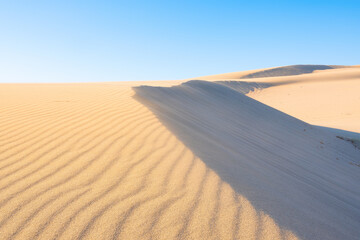 Fototapeta na wymiar Sand dunes in the desert. Landscape in the daytime. Lines in the sand. Dunes and sky. Summer landscape in the desert. Hot weather.