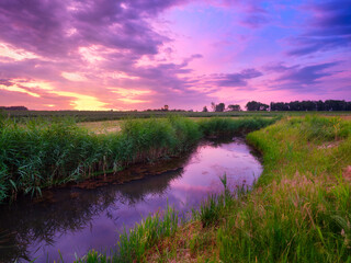 Fototapeta premium Nature. The river on the field during a bright sunset. Reeds along the river bank. Bright sky with clouds during sunset. Landscape in the summertime. Reflections on the surface of the water.