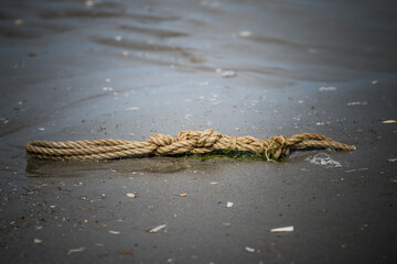 piece of rope washed up on the beach isolated