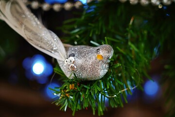 Oiseau de Noel - Bird Christmas