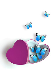 Open heart shaped gift box with butterfly on white background. Design for Valentine's Day.