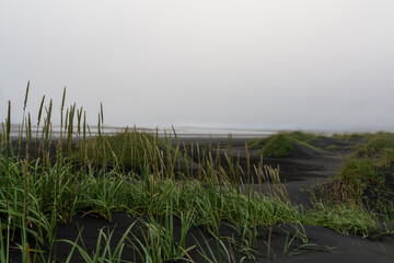 Naklejka na ściany i meble Fog around the beach in Stokksnes, Iceland