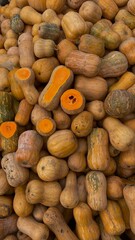 Pumpkins on the market