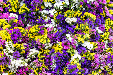 Natural organic background from decorative flowers