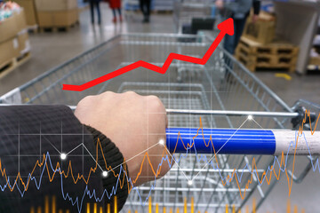 Shopping cart. Inflation concept. Retail industry. Finance and Economy. Stock Market. Price growth