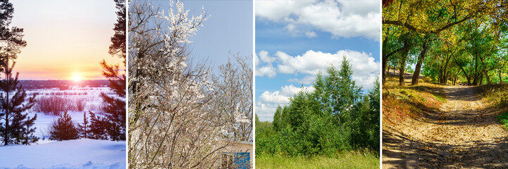 Four seasons of year. Set of nature banners. Spring, summer, autumn, winter. Collage of 4 photos