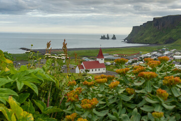 View on Vik, Iceland, and the sea in the background