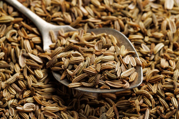 Fennel seeds on spoon, close up view