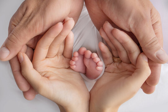Small feet of a newborn in the hands of parents. Loving palms of the hands of mother and father. Conceptual image of fatherhood. Close-up, selective focus. Professional photography a white background.