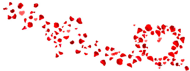 Red rose petals with hearts in a loop isolated on white for love greetings. Horizontal background...