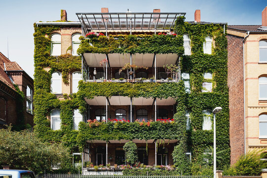 Gro&szlig;e begr&uuml;nte Fassade im Stadtteil Linden in Hannover, Fassadenbegr&uuml;nung