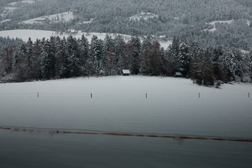 Snow covered trees and a hut