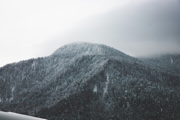 Snow covered hill