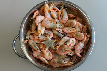 Shrimp and one starfish in a mettalic colander