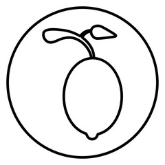  fruit icon