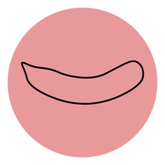  fruit icon