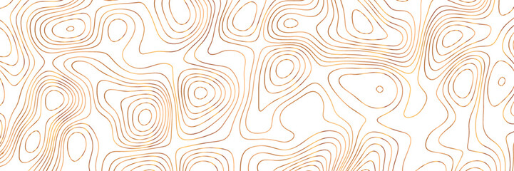Golden color topographic contour lines isolated on white background. Panorama view contour lines map. Vector illustrator