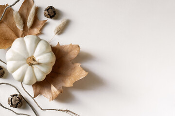 Aesthetic autumn still life in beige colours with white pumpkin, leaves, cones, dried flowers and branches. Natural holidays concept , flat lay, top view, copy space for your text.