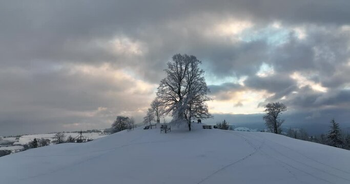 Aerial point of focus of hilltop tree in dawn snowy nature