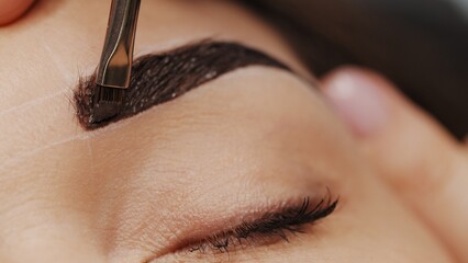 Woman having Eyebrow coloring procedure at beauty salon. Professional lamination procedures of female eyebrows in beauty salon.  Beauty care concept. Beauty master coloring eyebrow is working - obrazy, fototapety, plakaty