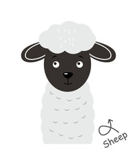 Sheep . Cartoon character . Vector .