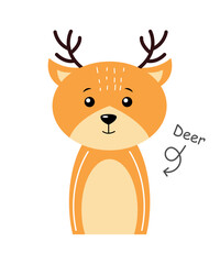 Deer . Cartoon character . Vector .