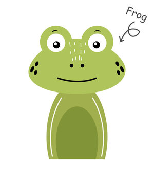 Frog . Cartoon character . Vector .