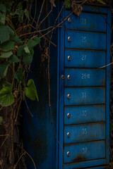 old door in the garden