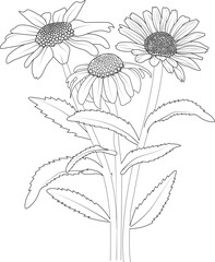 Doodle flower bouquet of line art, lovely design.
Easy sketch art of daisy flower, line art bouquets of floral hand drawn illustration, doodle zentangle, tattooing drawing coloring page, and book isol
