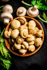 Fragrant pickled mushrooms in a plate with greens. 