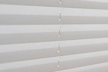 Papierrollo