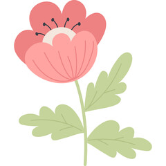 decorative red poppy