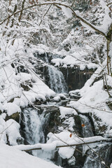 Fototapeta na wymiar Snowy Nature in austrian forest